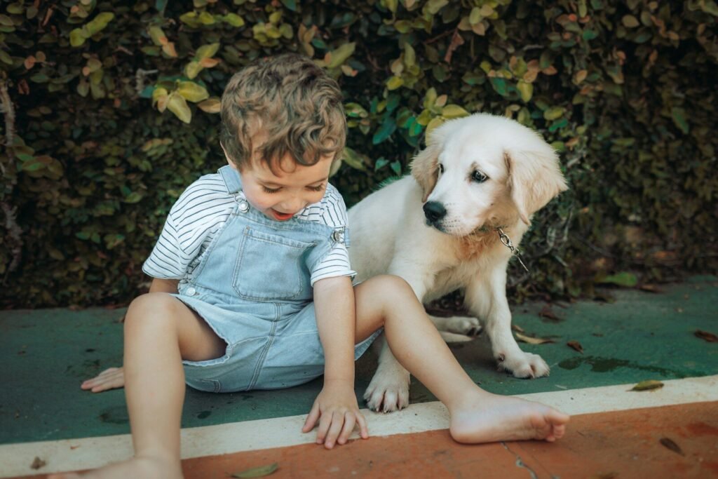 Understanding Normal Developmental Behaviour Changes GOLDEN RETRIEVER