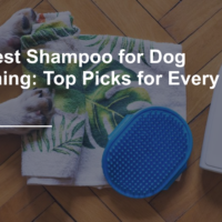 The Best Shampoo for Dog Grooming: Top Picks for Every Breed