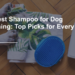 The Best Shampoo for Dog Grooming: Top Picks for Every Breed